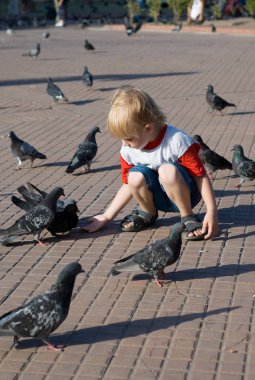 parkta yürüyüş ve having fun küçük çocuk tam uzunlukta güvercin besleme