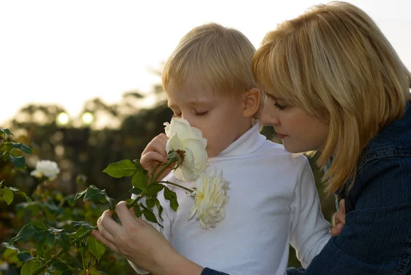 快乐的母亲和儿子嗅到玫瑰在公园 — 图库照片