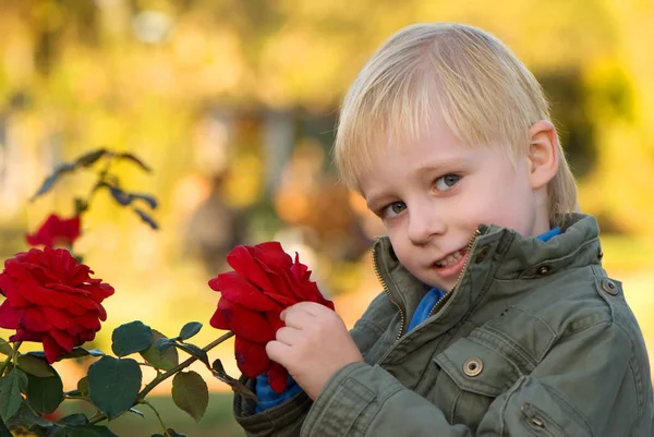 Retrato Livre Menino Bonito Com Jardim Rosa — Fotografia de Stock