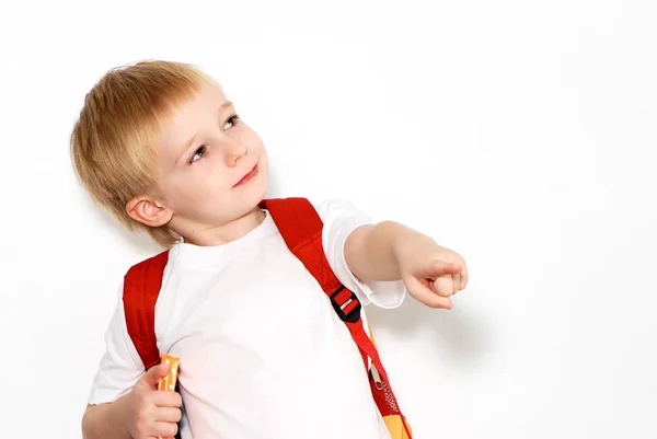 Porträtt Glad Liten Pojke Med Ryggsäck Och Boken Poserar Isolerad — Stockfoto