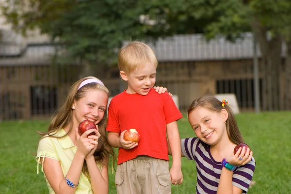 緑の芝生公園に兄と妹の食べるリンゴ — ストック写真
