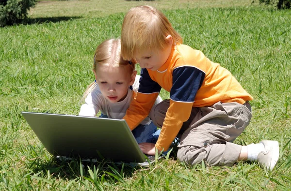 Urocze Małe Dzieci Pomocą Laptopa Razem Parku — Zdjęcie stockowe