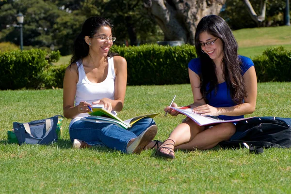 公園の緑の草の上で一緒に勉強している美しい若い女性 — ストック写真