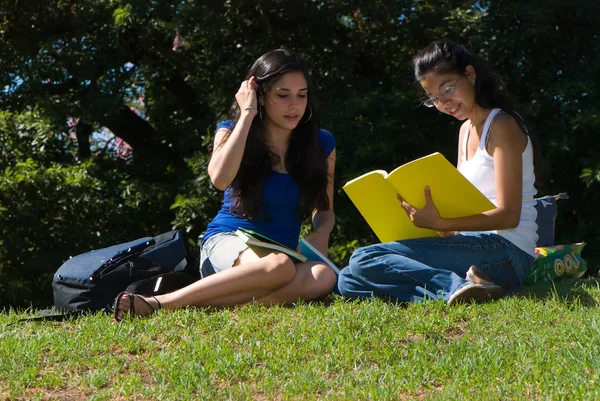 Hermosas Mujeres Jóvenes Que Estudian Juntas Sobre Hierba Verde Parque — Foto de Stock