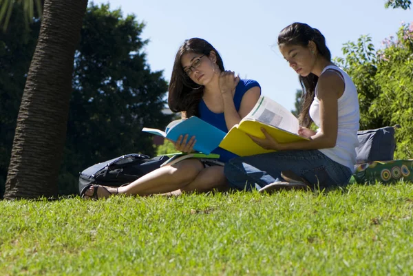美丽的年轻女子一起在公园的绿草上学习 — 图库照片