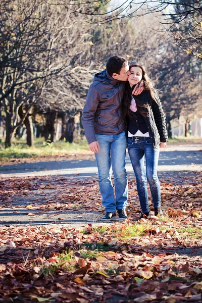 快乐的爱的夫妇在公园里接吻 — 图库照片