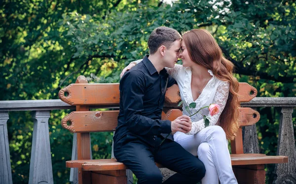 Amor e carinho entre um jovem casal no parque — Fotografia de Stock