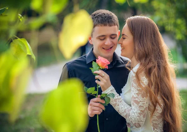 Amor e carinho entre um jovem casal no parque — Fotografia de Stock