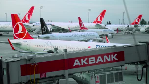 Letadla Tureckých Aerolinií Letišti Atatürk — Stock video