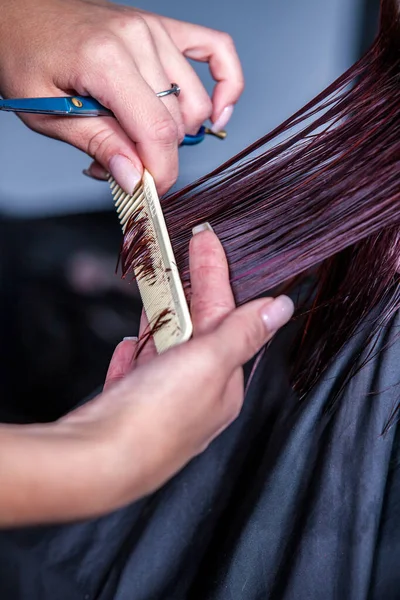 Зачіска Волосся Жіночому Перукарні — стокове фото