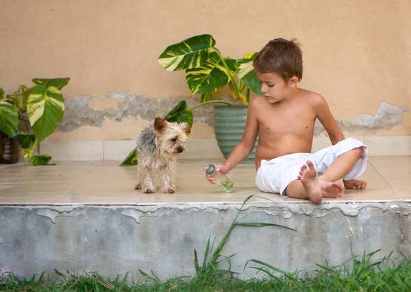 Kleine Jongen Met Een Hond Tijdens Quarantaine — Stockfoto