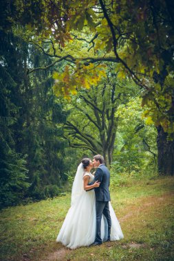 Gelin ve damadın düğün fotoğrafı.