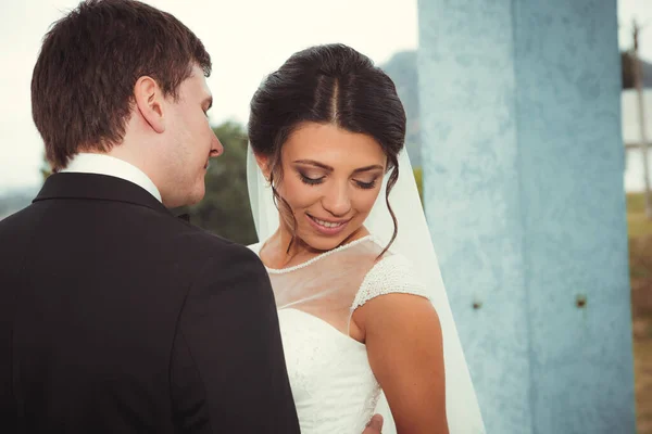 Boda Novia Novio — Foto de Stock