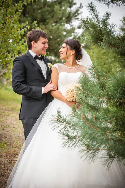 Tiro Casamento Noiva Noivo — Fotografia de Stock