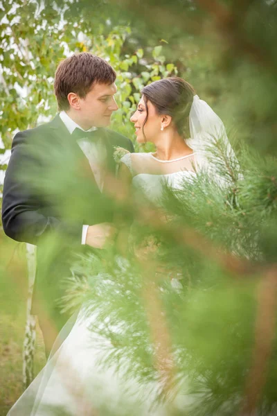 Hochzeitsfoto Von Braut Und Bräutigam — Stockfoto