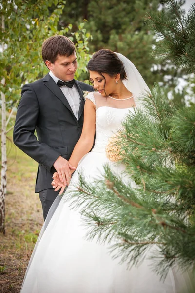 Bröllopsbild Brud Och Brudgum — Stockfoto