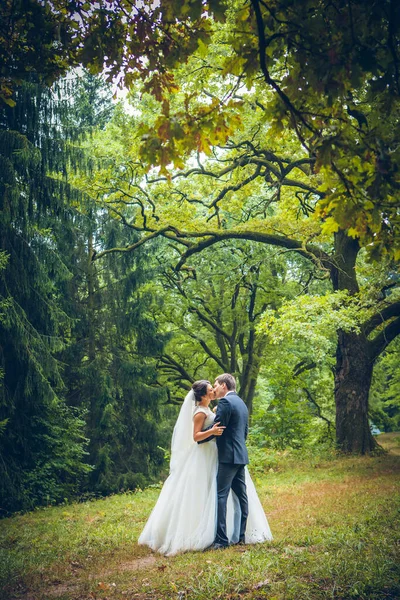 Hochzeitsfoto Von Braut Und Bräutigam — Stockfoto