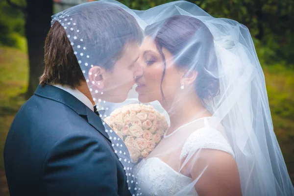 Esküvői Felvétel Menyasszony Vőlegény — Stock Fotó