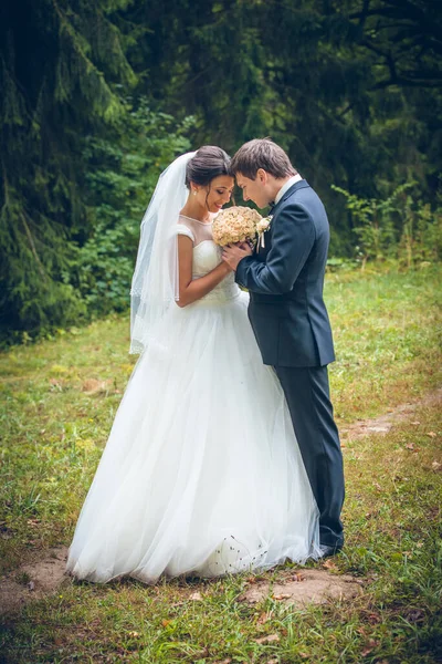 Tiro Casamento Noiva Noivo — Fotografia de Stock