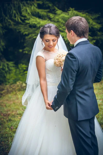 Bröllopsbild Brud Och Brudgum — Stockfoto