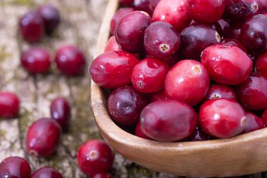 Ağaç kabuğunun arka planında yabanmersini var.