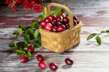 Orman unsurları ile bir kaba arka plan yakın çekim üzerinde bir sepet içinde İsveç kirazı