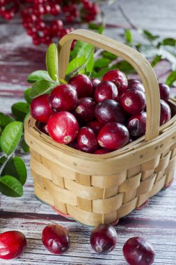 Orman unsurları ile bir kaba arka plan yakın çekim üzerinde bir sepet içinde İsveç kirazı