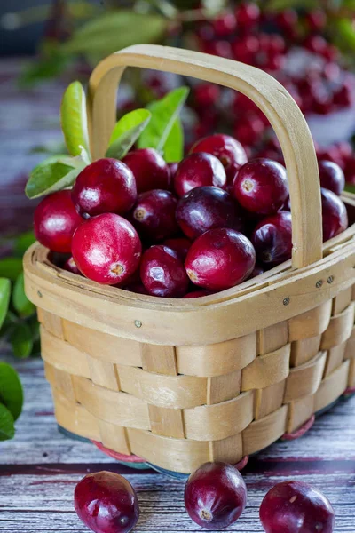 Orman unsurları ile bir kaba arka plan yakın çekim üzerinde bir sepet içinde İsveç kirazı