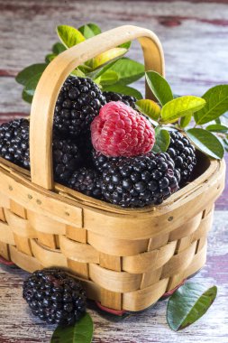 bir hasır sepet ve bir ahududu taze böğürtlen