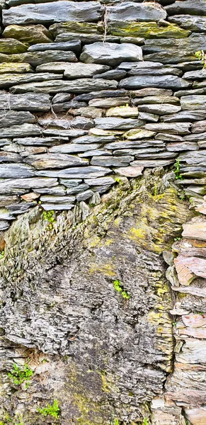 Παλιό τοίχο με γρασίδι και βρύα — Φωτογραφία Αρχείου