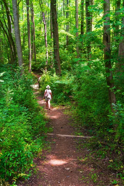 Γυναίκα Περπατά Κατά Μήκος Του Δρόμου Στο Δάσος — Φωτογραφία Αρχείου