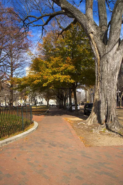 Calle Otoño Washington — Foto de Stock