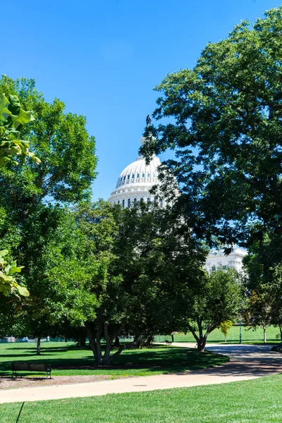 Kapitólium Washingtonban Fénykép Szeptember 2020 Capitolium Kupolája Fák Között Van — Stock Fotó
