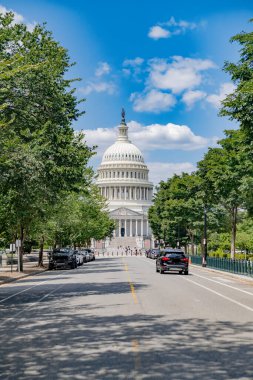 Capitol 'ün neoklasik mimarisi. Çerçevelenmiş yeşillik ve doğa.