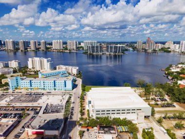 Veteriner, Elf Kedileri Kulaklarını Temizliyor. Kıvrık Kulaklı Egzotik Hayvan