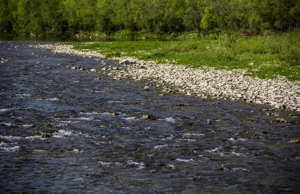 Río Striy Parque Nacional Los Cárpatos Skolevski Beskidy Región Lviv — Foto de Stock