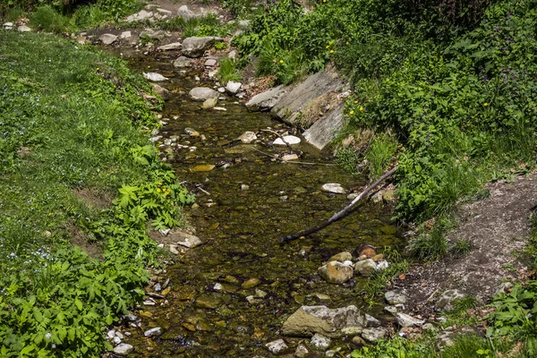 Ένα Μικρό Ποτάμι Πολλά Χόρτα Και Φυτά Στις Όχθες — Φωτογραφία Αρχείου