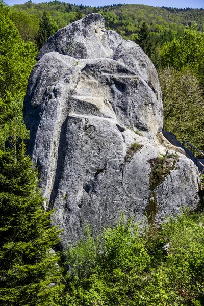 Místo Tustan Pevnosti Středověké Útesu Pevnost Město Archeologické Přírodní Památka — Stock fotografie