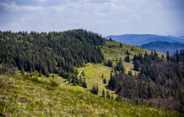 manzara Parashka pik üzerinden Karpat Dağları'nın görünümünü mount, Milli Parkı Skolevski beskidy, Batı Ukrayna'nın Lviv Bölgesi