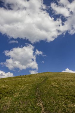 Karpat Parashka Dağı, Milli Parkı Skolevski beskidy, Batı Ukrayna'nın Lviv Bölgesi pik