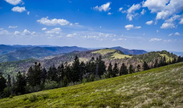 Udsigt Landskabet Karpaterne Fra Toppen Parashka Mount Nationalpark Skolevski Beskidy - Stock-foto