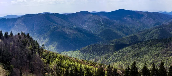 Der Panoramische Blick Auf Die Landschaft Der Karpaten Nationalpark Skolevski — Stockfoto