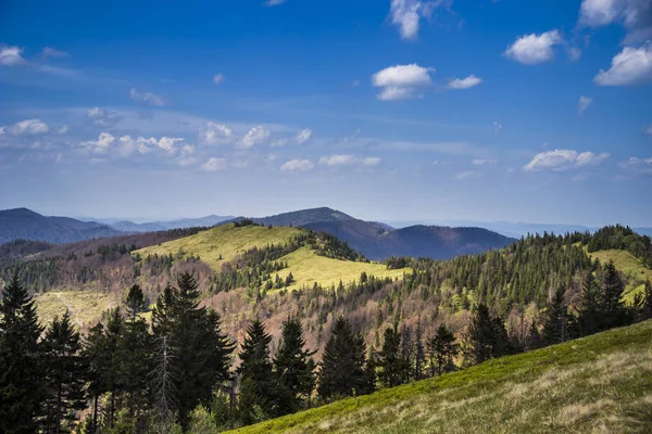 Blick Auf Die Landschaft Der Karpaten Vom Gipfel Des Paraschka — Stockfoto