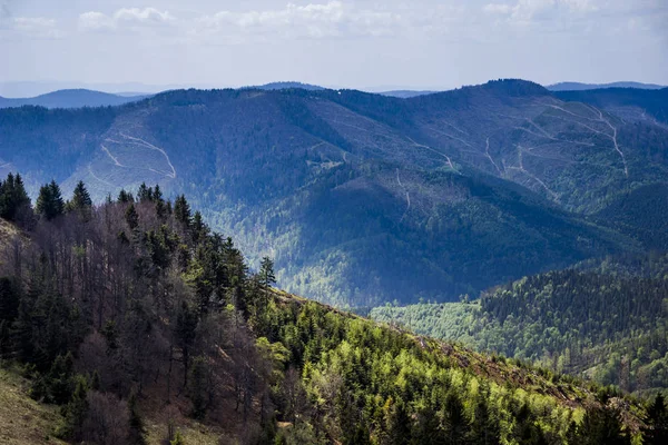 View Landscape Carpathian Mountains Peak Parashka Mount National Park Skolevski — Stock Photo, Image