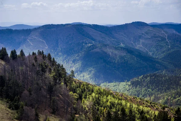 Vue Sur Paysage Des Montagnes Des Carpates Depuis Sommet Mont — Photo