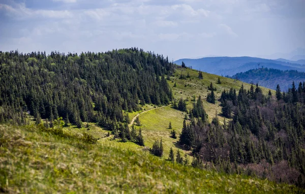 Blick Auf Die Landschaft Der Karpaten Vom Gipfel Des Paraschka — Stockfoto