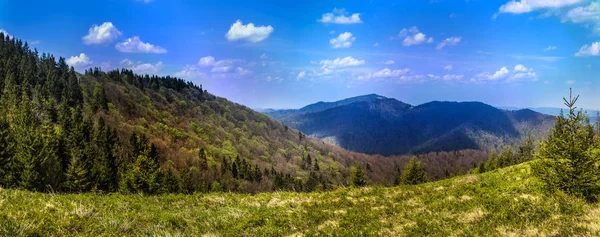 乌克兰西部 Skolevski Beskidy 国家公园 大兴安岭景观全景 — 图库照片