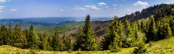 Vista Panorâmica Paisagem Das Montanhas Dos Cárpatos Parque Nacional Skolevski — Fotografia de Stock