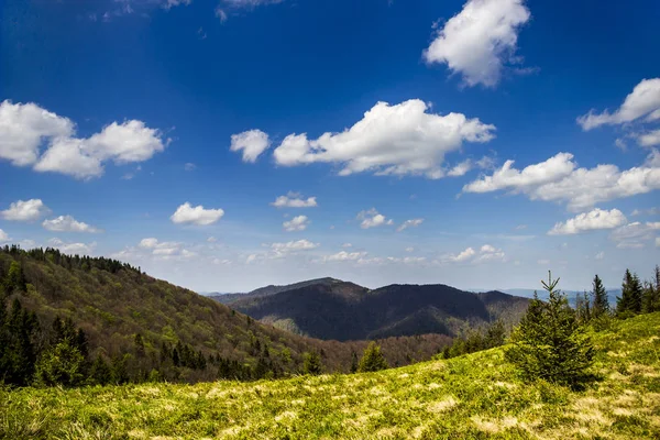 Vista Paisagem Das Montanhas Dos Cárpatos Parque Nacional Skolevski Beskidy — Fotografia de Stock