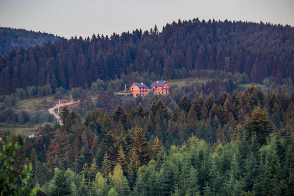 Zwei Unfertige Häuser Wald Den Ukrainischen Karpaten — Stockfoto